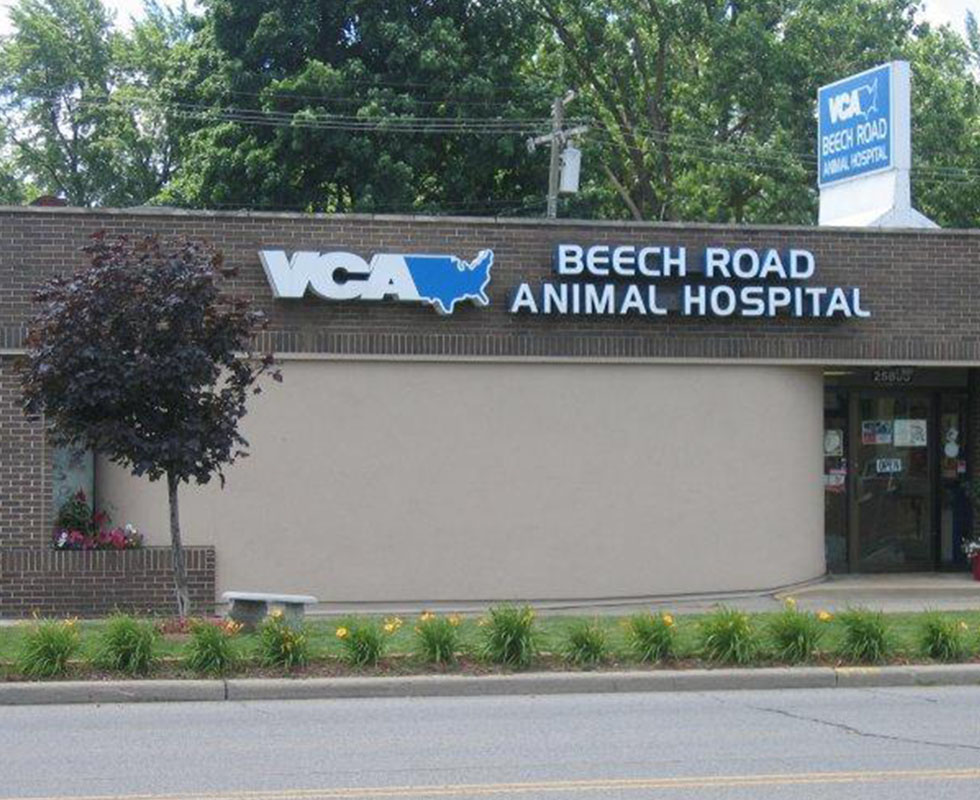 Hospital Picture of VCA Beech Road Animal Hospital