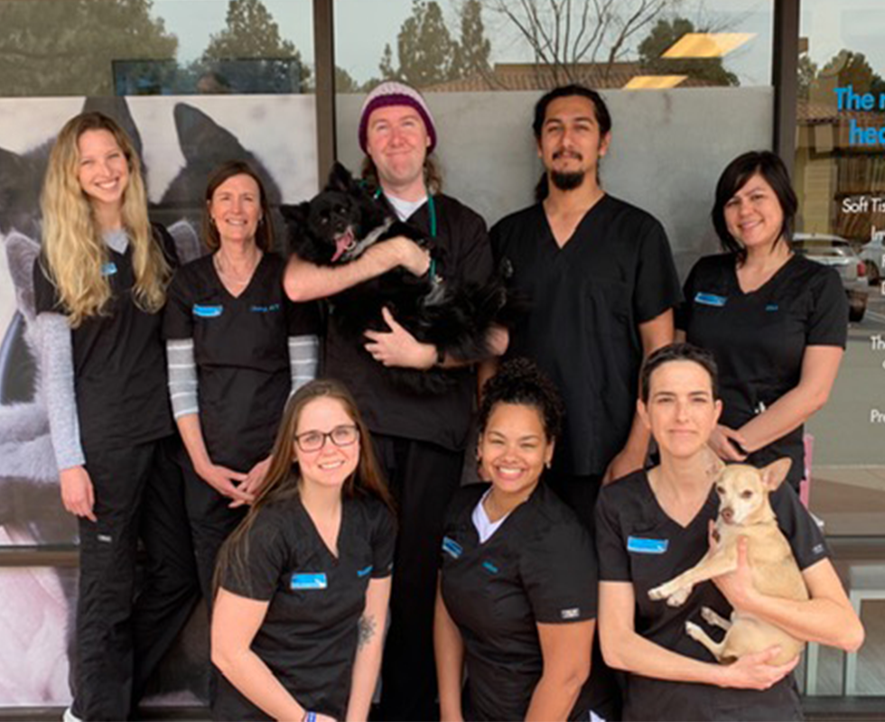 Our Vet Support