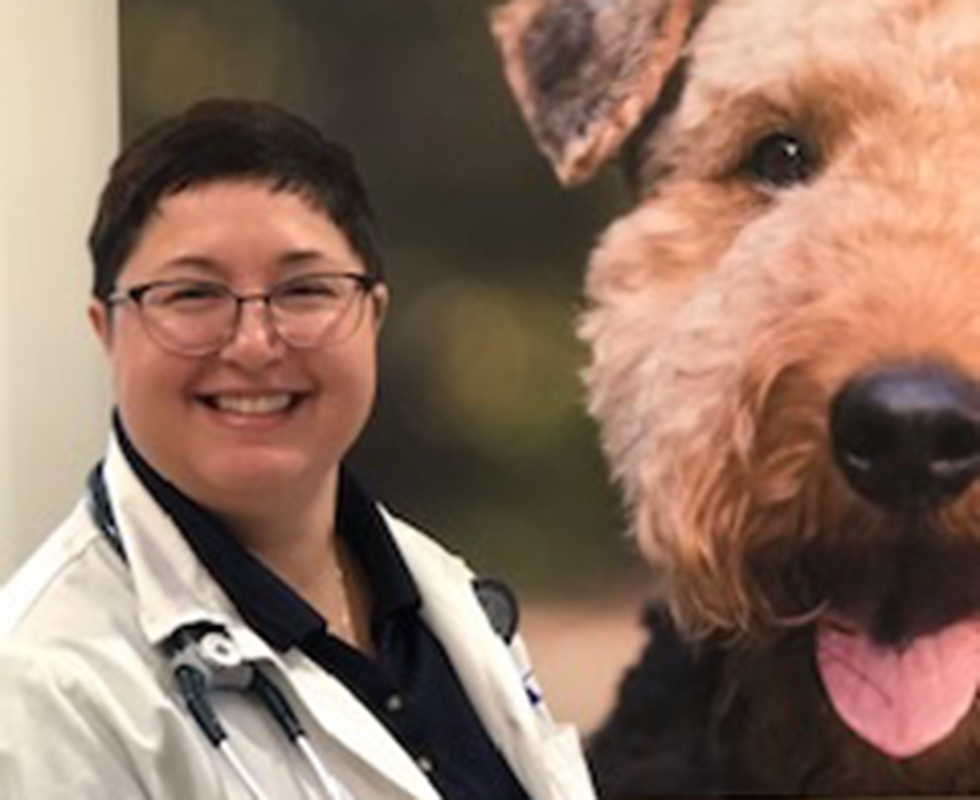 VCA Eagle Park Animal Hospital