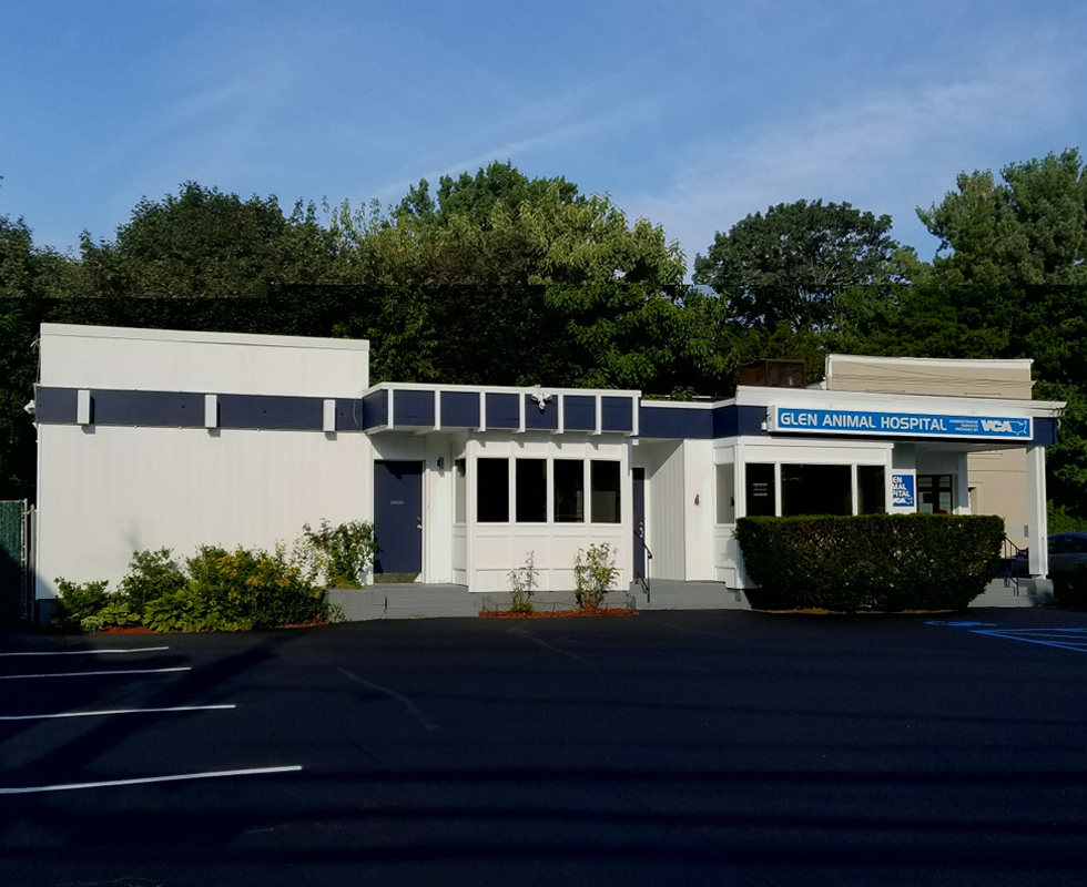 Hospital Picture of VCA Glen Animal Hospital