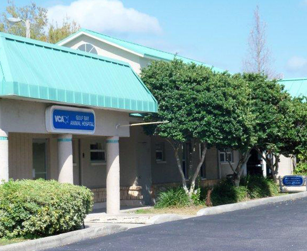 Hospital Picture of VCA Gulf Bay Animal Hospital
