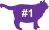 VCA Big Pet Project Overweight Cat Icon
