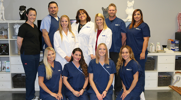 Team with Mosaic myVCA WOOFWare