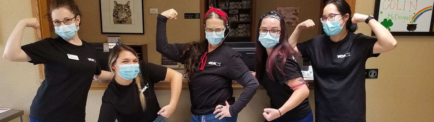 Team Picture of VCA North Park Animal Hospital