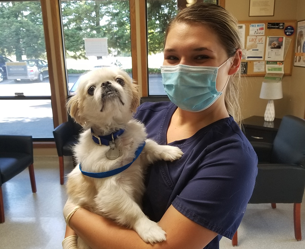 Our Vet Support