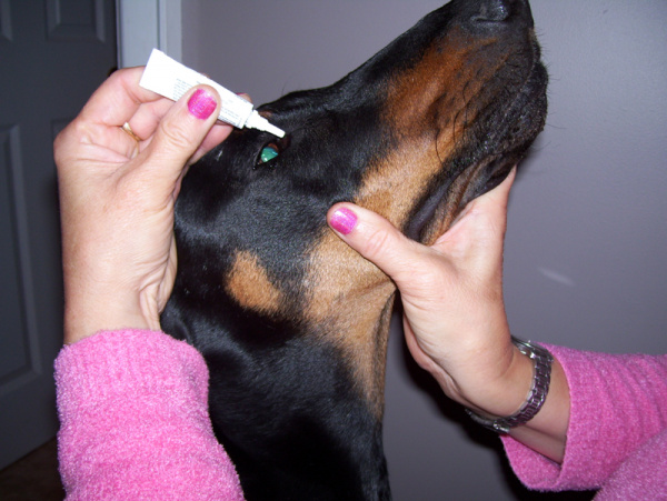 eye__atropine_sulfate_ophthalmic-1
