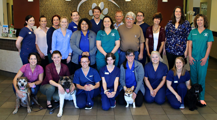 Team with Mosaic myVCA non-WOOFWare