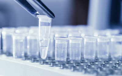dna-pcr dna-pcr