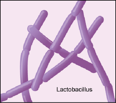 probiotics-1