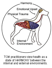 veterinary_tcm-2