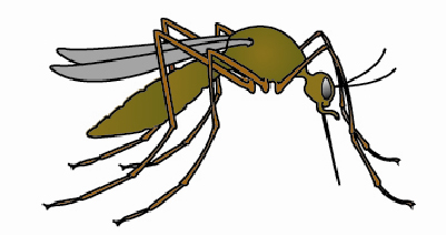 west_nile_virus-1