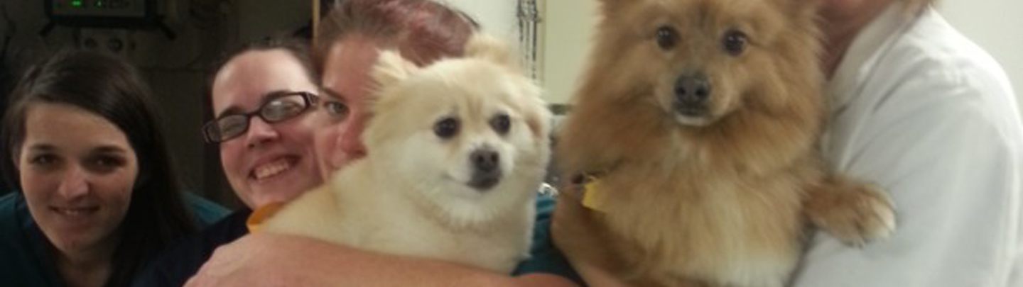 Team Picture of VCA Southeast Portland Animal Hospital