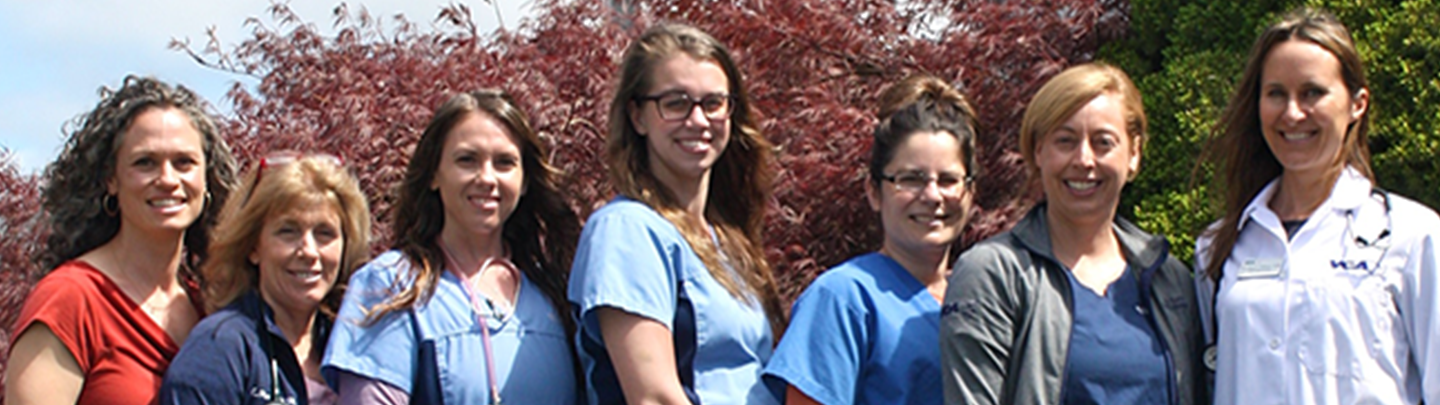Our Team at Turco