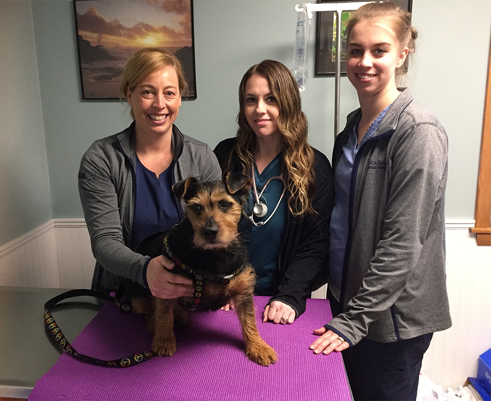 Our Vet Support
