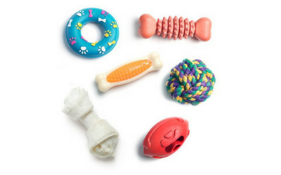 puppy_behavior_and_training_-_toys