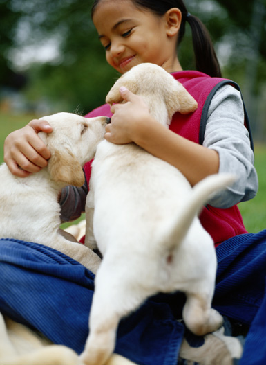 puppy__socialization_and_fear_prevention_4