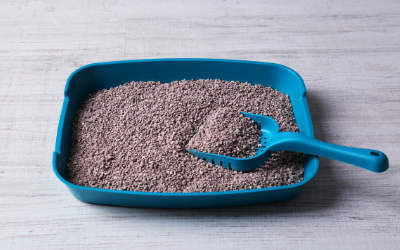 low_edge_litter_box
