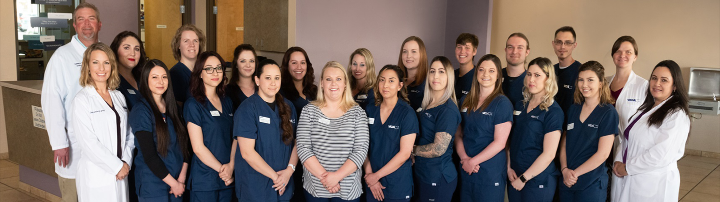 Team Picture of VCA West Mesa Animal Hospital